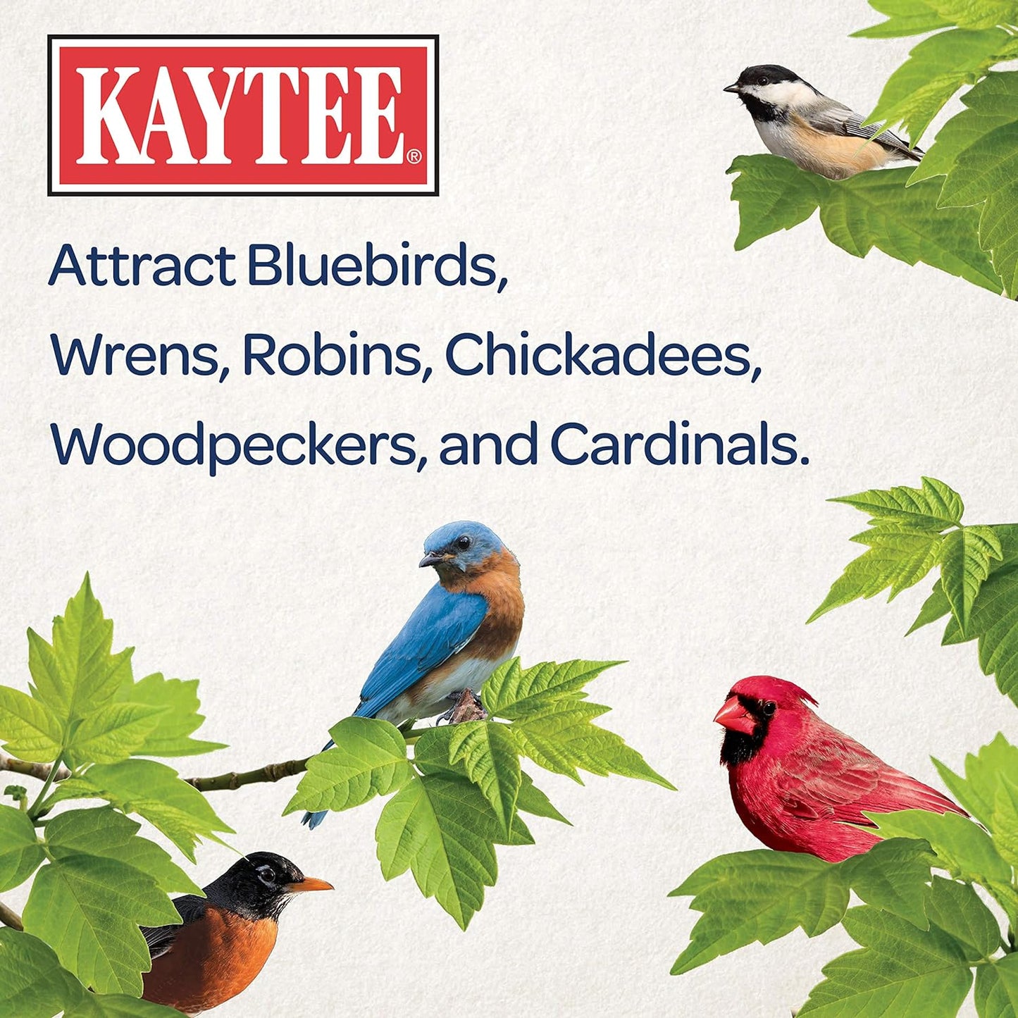 https://www.basketryplace.shop/products/kaytee-wild-bird-food-mealworms-for-bluebirds-wrens-robins-chickadees-woodpeckers-cardinals-chickens-2-pound - top-secret-recipes.myshopify.com